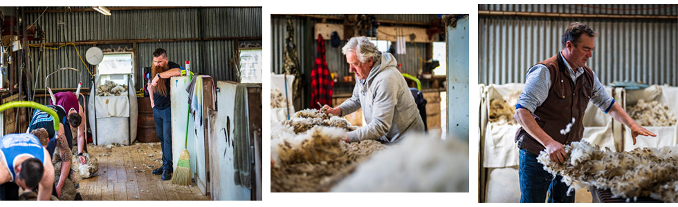 Wool sharers shed